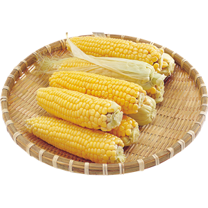 Corn PNG image-5280